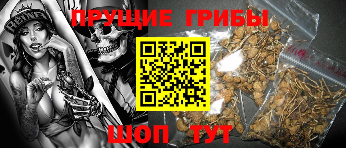 Галлюциногенные грибы мицелий Карабулак