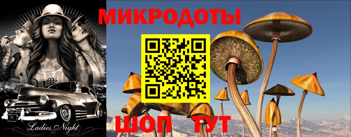 Галлюциногенные грибы GOLDEN TEACHER  Вход с VPN  Карабулак  Псилоцибиновые грибы Psilocybe 